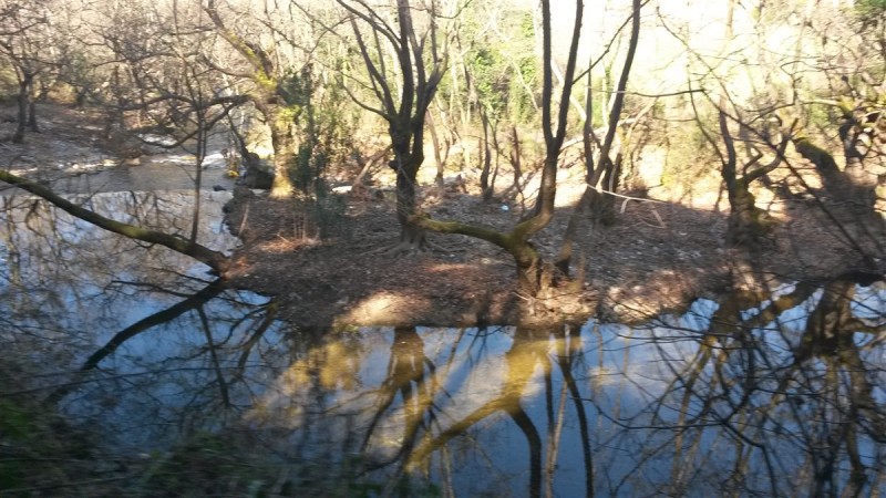 20160227_110611.jpg