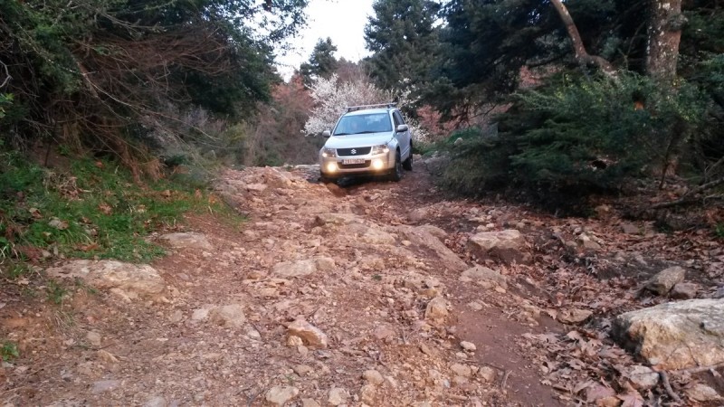 20160227_181005.jpg
