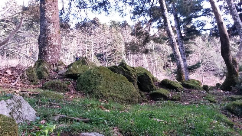 20160227_172734.jpg