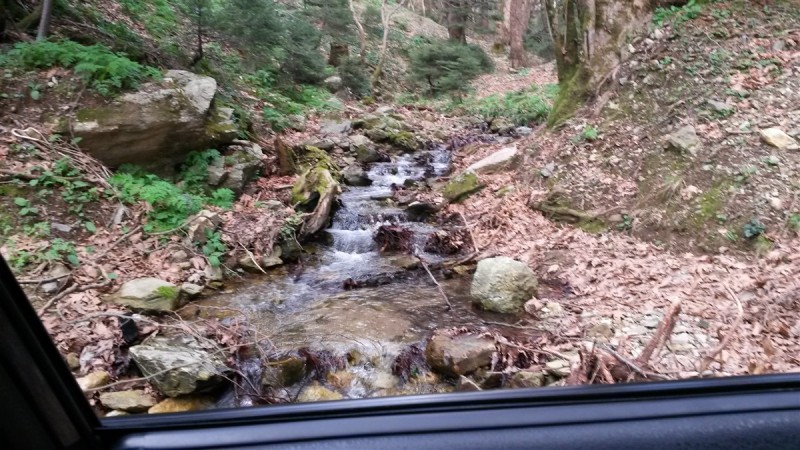 20160227_170222.jpg