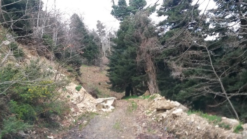 20160227_170026.jpg