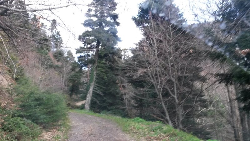 20160227_165955.jpg