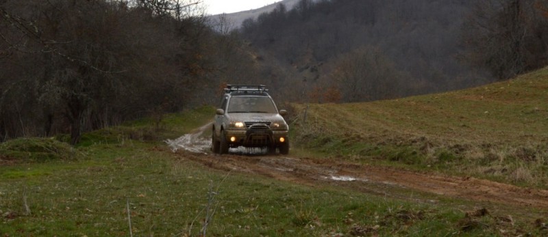 sam2 (1024 x 444).jpg