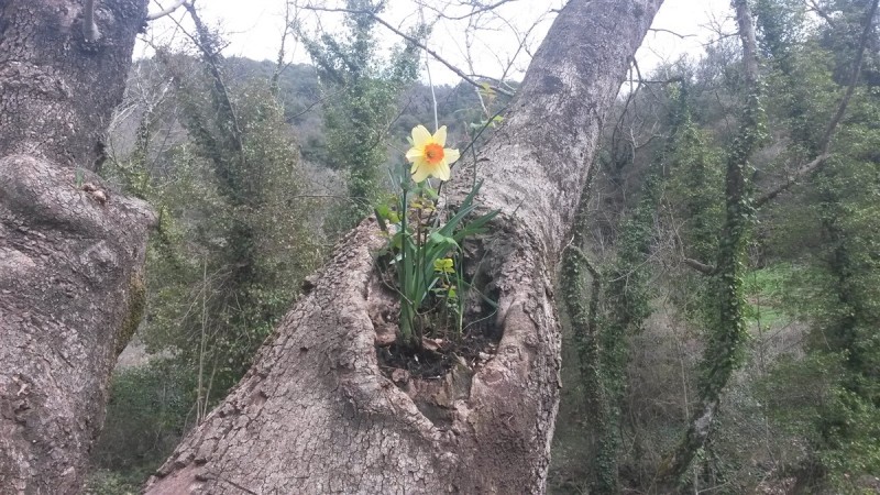 20160306_123432.jpg