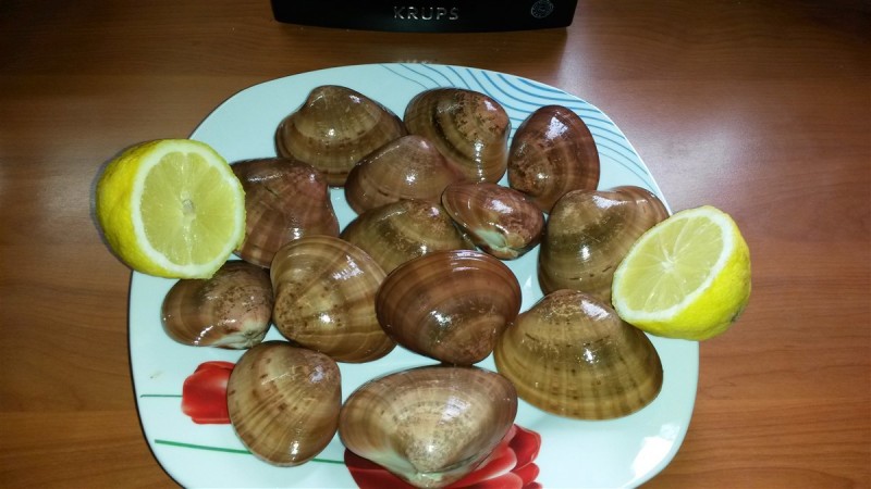 20160314_124424.jpg