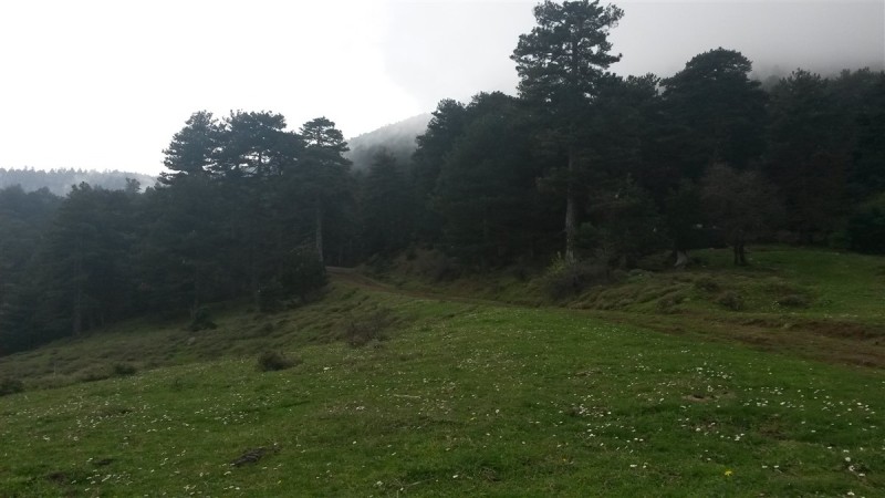 20160313_111345.jpg