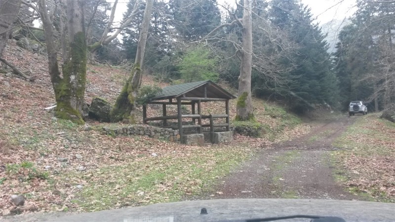 20160313_105244.jpg