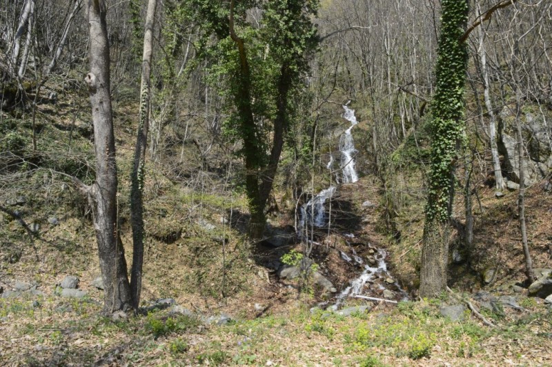 _DSC0623.jpg
