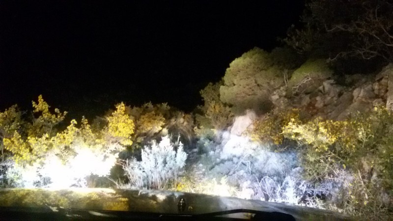 20160322_201256.jpg
