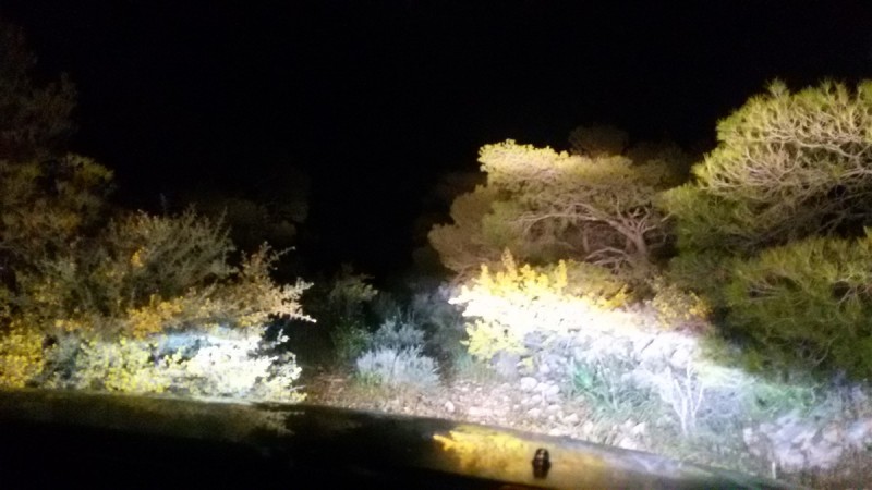 20160322_200632.jpg