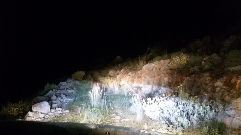 20160322_200522.jpg