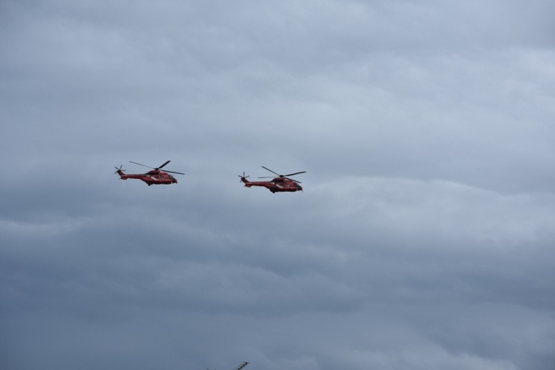 DSC_0425.JPG