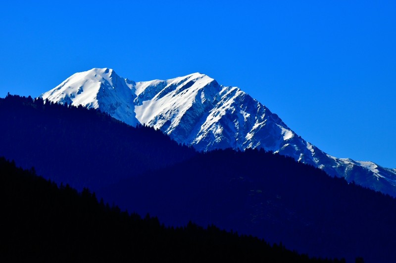 DSC_0439.JPG