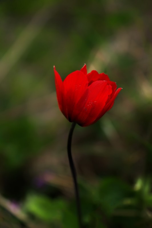 DSC08083.jpg