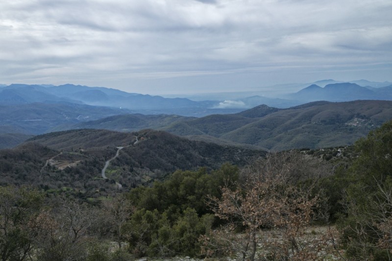 DSC08107.jpg