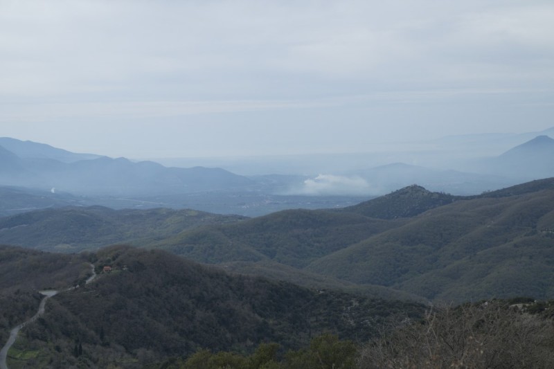 DSC08110.jpg
