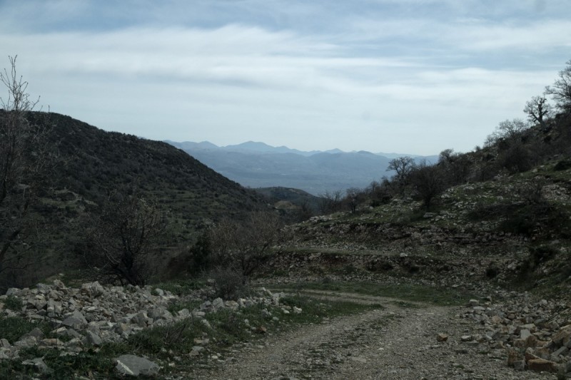 DSC08127.jpg