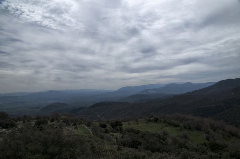 DSC08141.jpg