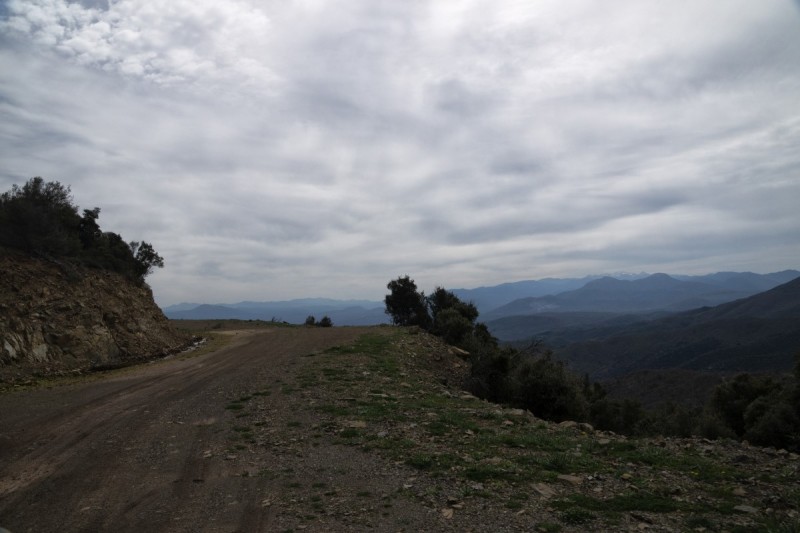 DSC08142.jpg