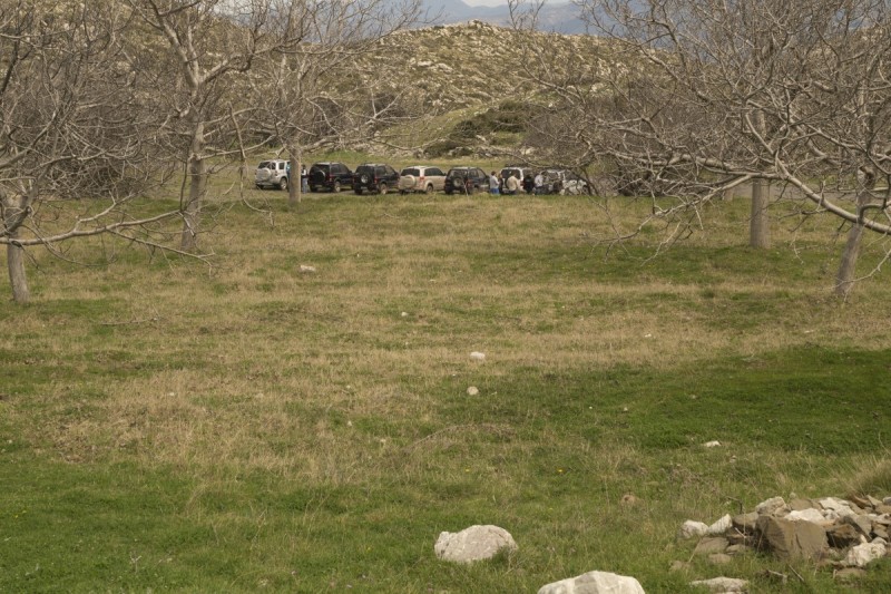 DSC08229.jpg