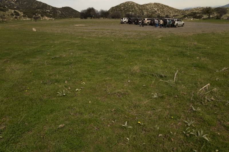 DSC08231.jpg