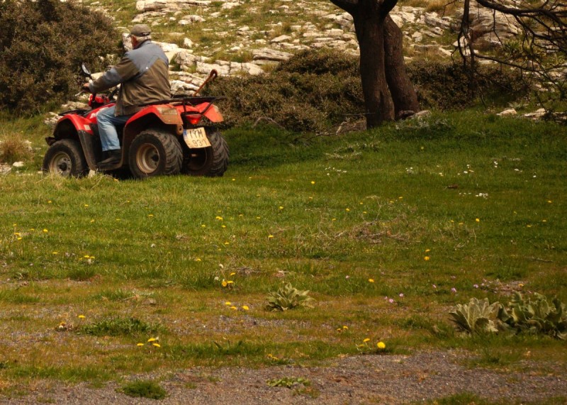 DSC08234.jpg