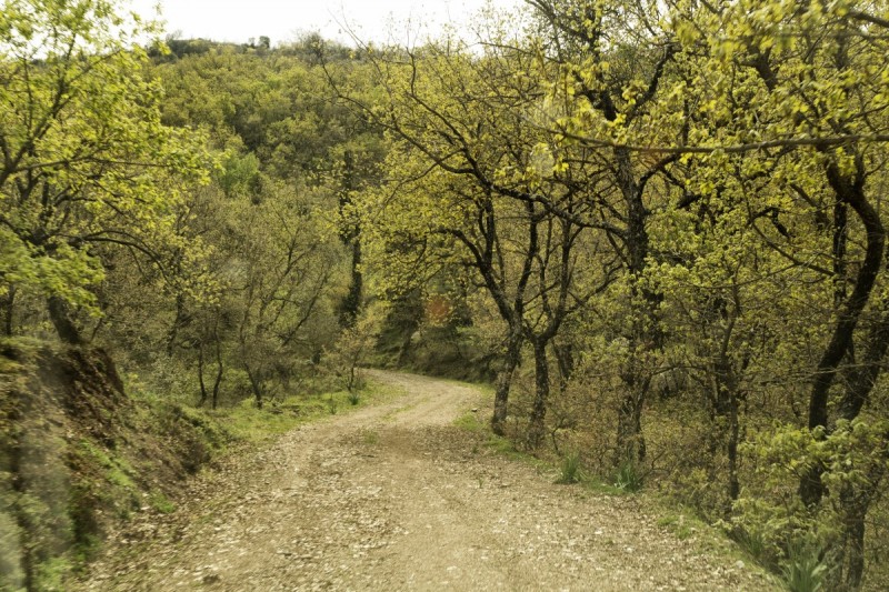 DSC08346.jpg