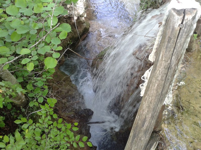 20160504_151433.jpg