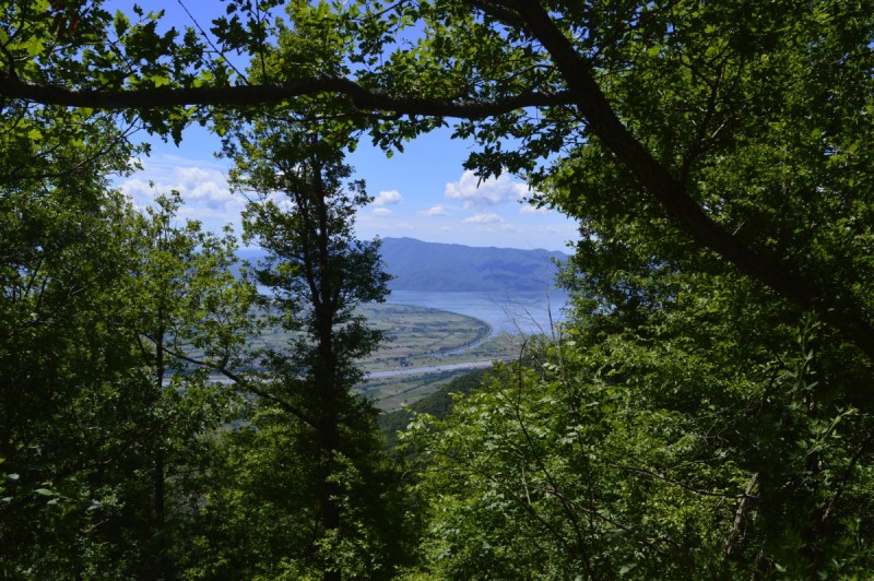 _DSC0100.jpg