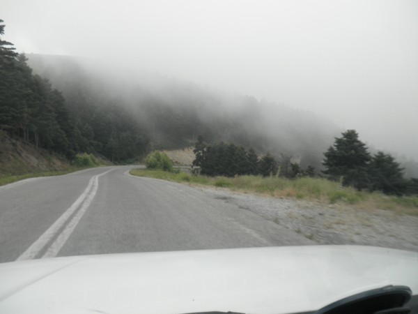 P7030113 (600 x 450).jpg