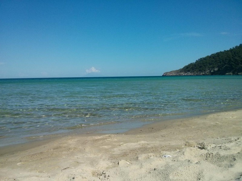 2016-06-04 16.38.13.jpg
