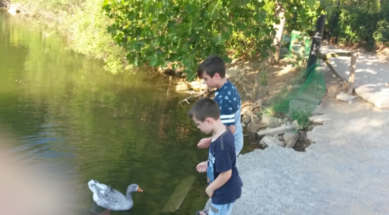 2016-07-14 10.45.16.jpg
