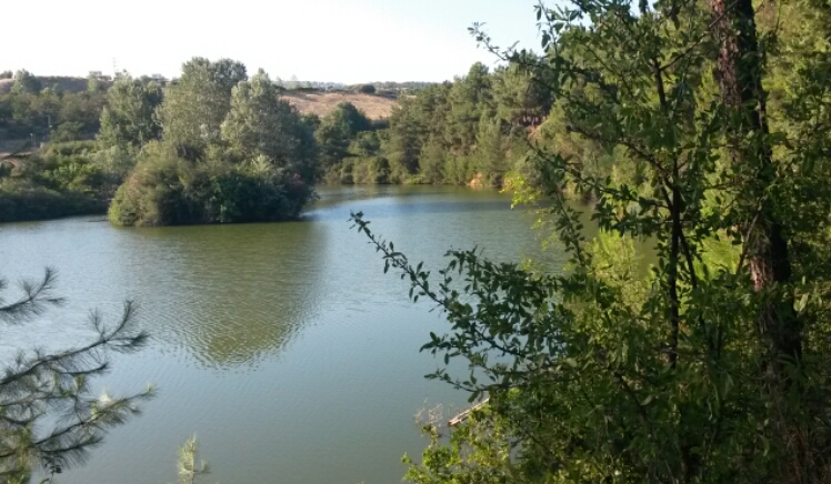 2016-07-14 10.43.27.jpg