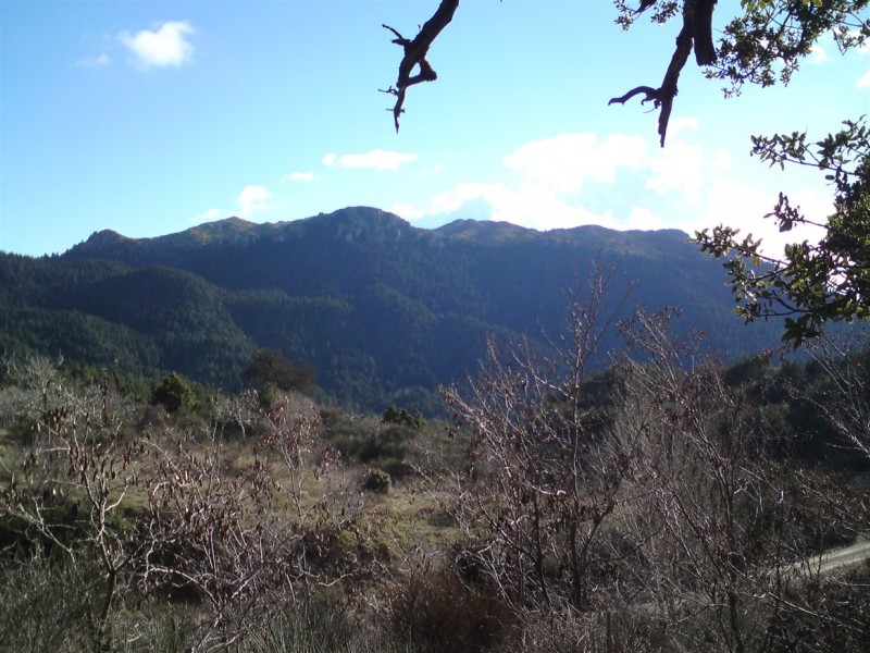 DSC00110.jpg