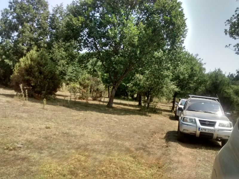IMG_20160731_121525002_HDR.jpg
