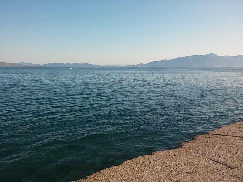 20160818_083724.jpg