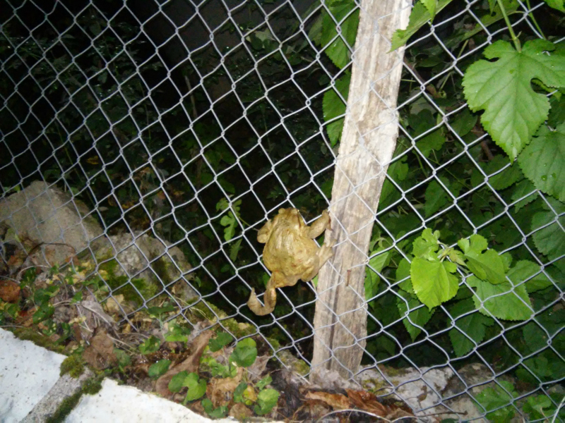 20160819_223014.jpg