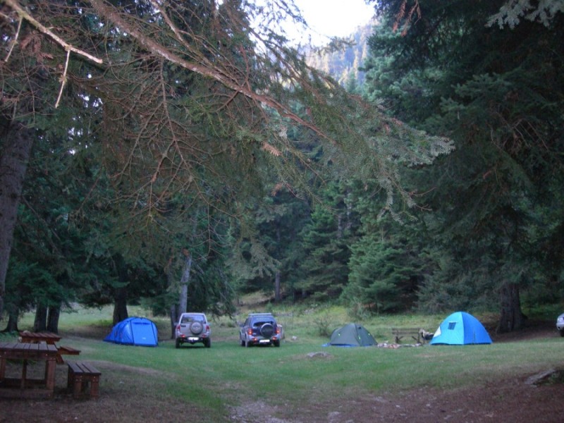 DSCN7393.jpg