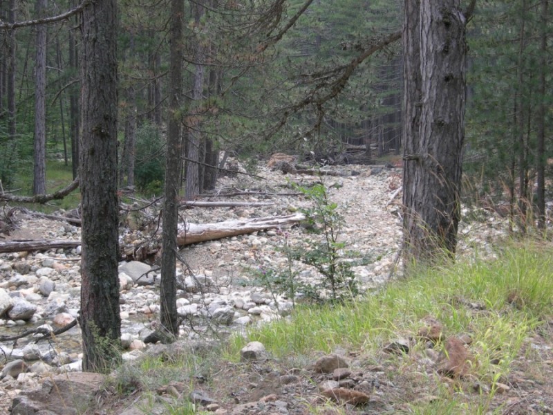 DSCN7409.jpg