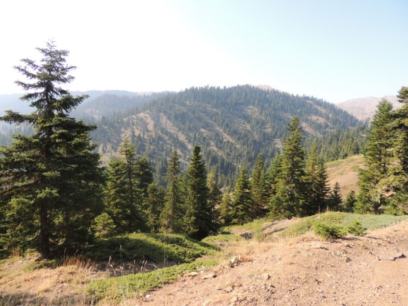 DSCN1083.jpg