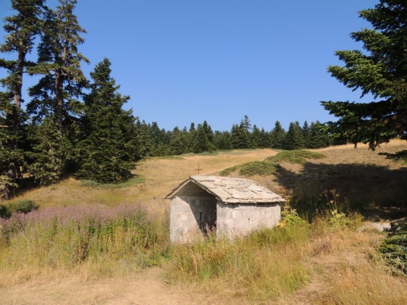 DSCN1089.jpg
