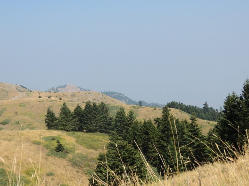 DSCN1094.jpg