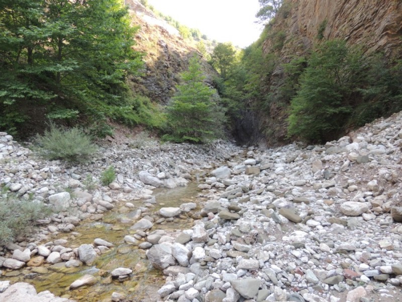 DSCN1272.jpg