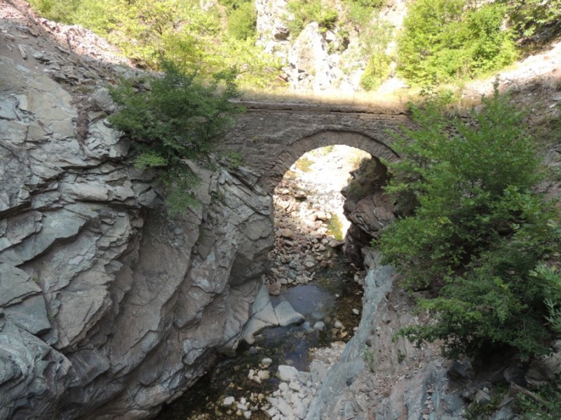 DSCN1273.jpg