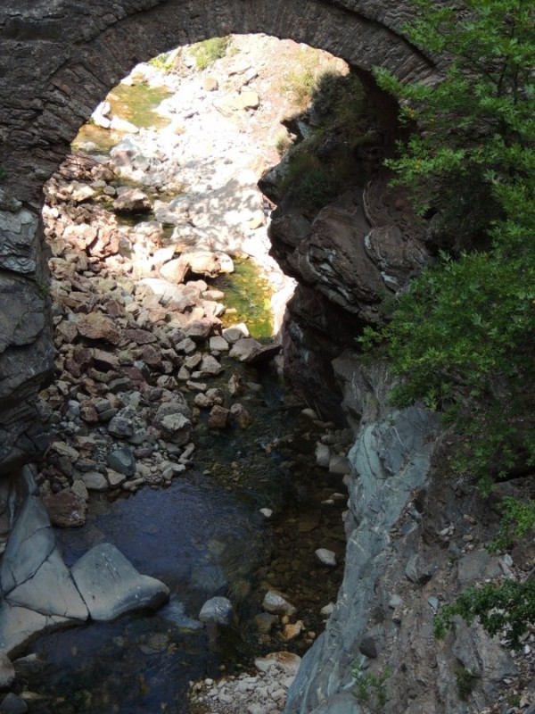 DSCN1275.jpg