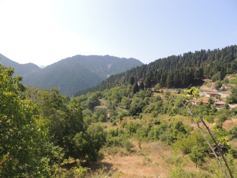 DSCN1284.jpg