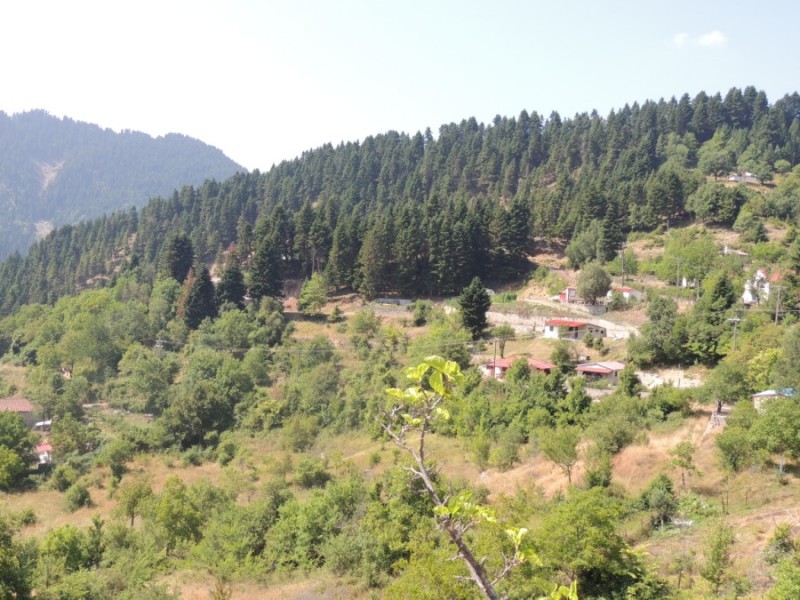 DSCN1285.jpg