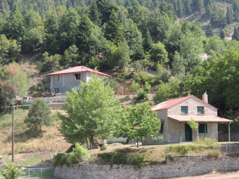 DSCN1287.jpg