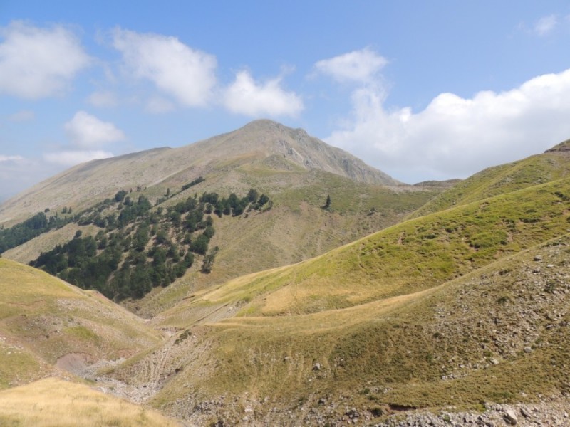 DSCN1292.jpg