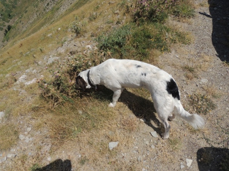 DSCN1315.jpg